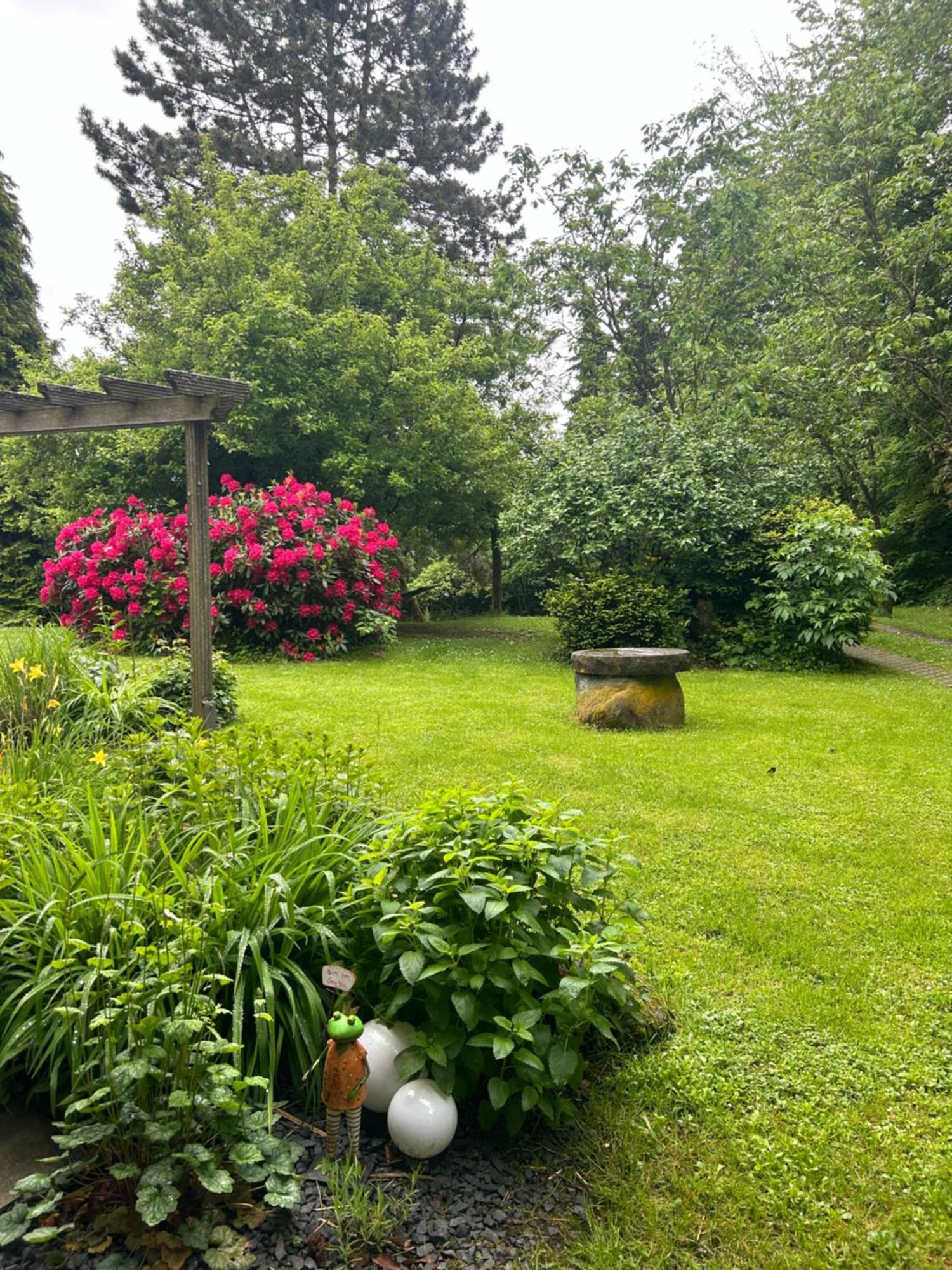 Ferienapartments Engeln Eifel Kempenich Bagian luar foto