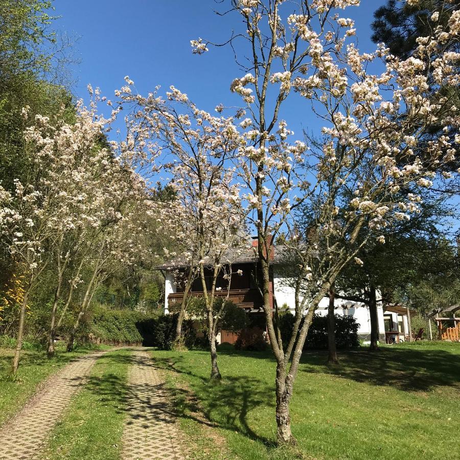 Ferienapartments Engeln Eifel Kempenich Bagian luar foto